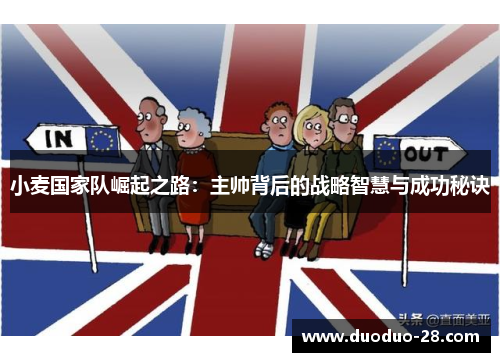 小麦国家队崛起之路：主帅背后的战略智慧与成功秘诀