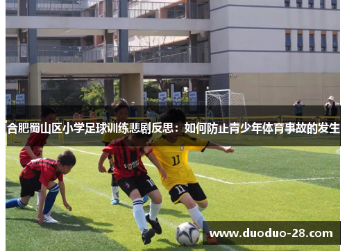 合肥蜀山区小学足球训练悲剧反思：如何防止青少年体育事故的发生