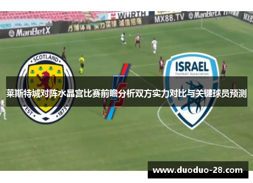 莱斯特城对阵水晶宫比赛前瞻分析双方实力对比与关键球员预测 莱斯特城对阵水晶宫比赛前瞻分析双方实力对比与关键球员预测