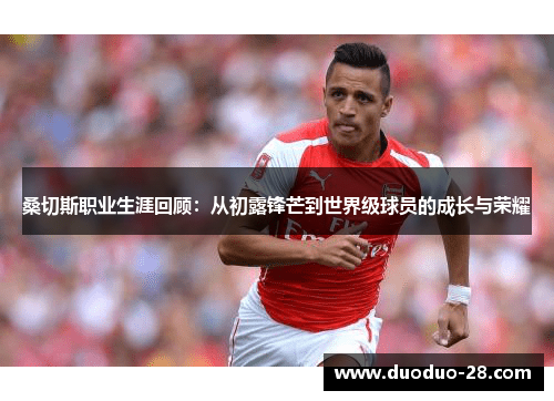 桑切斯职业生涯回顾：从初露锋芒到世界级球员的成长与荣耀