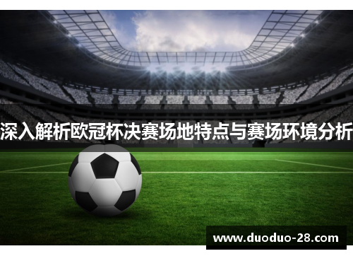 深入解析欧冠杯决赛场地特点与赛场环境分析